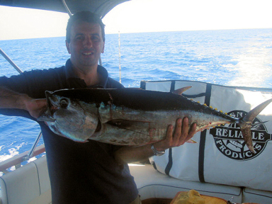 Bluefin Tuna